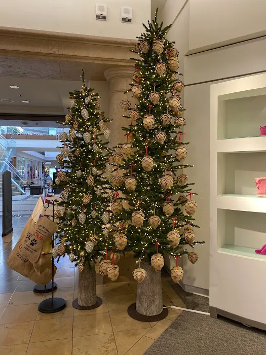 Nordstrom 2