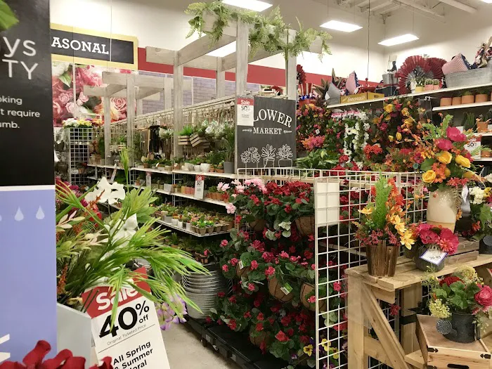 Michaels 5