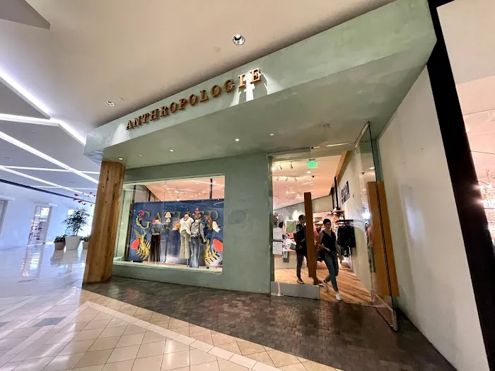 Anthropologie 1
