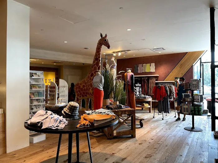 Anthropologie 2