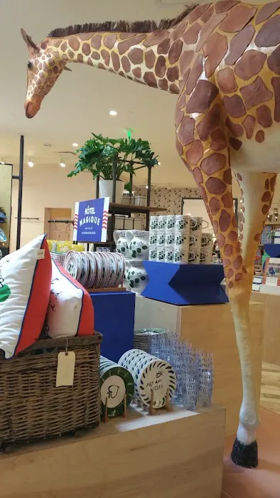 Anthropologie 0