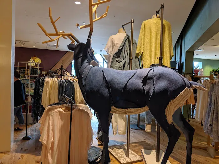 Anthropologie 5