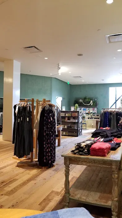 Anthropologie 9