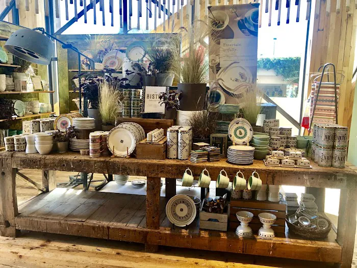Anthropologie 8