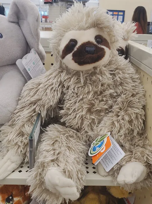 Hobby Lobby 8
