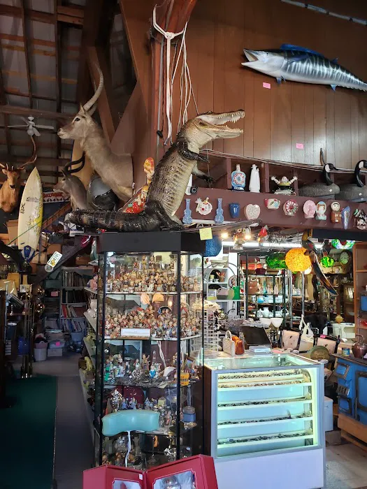The Swap Shop 5