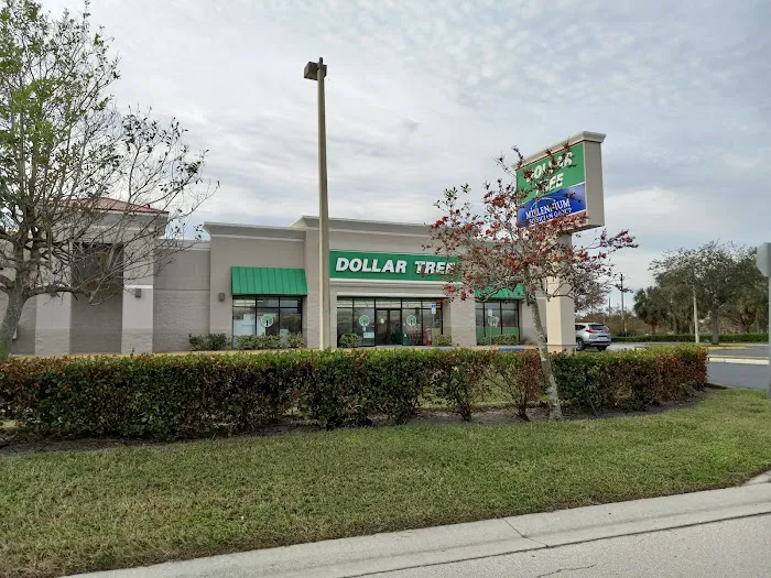 Dollar Tree 6