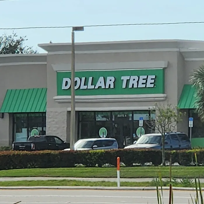 Dollar Tree 8