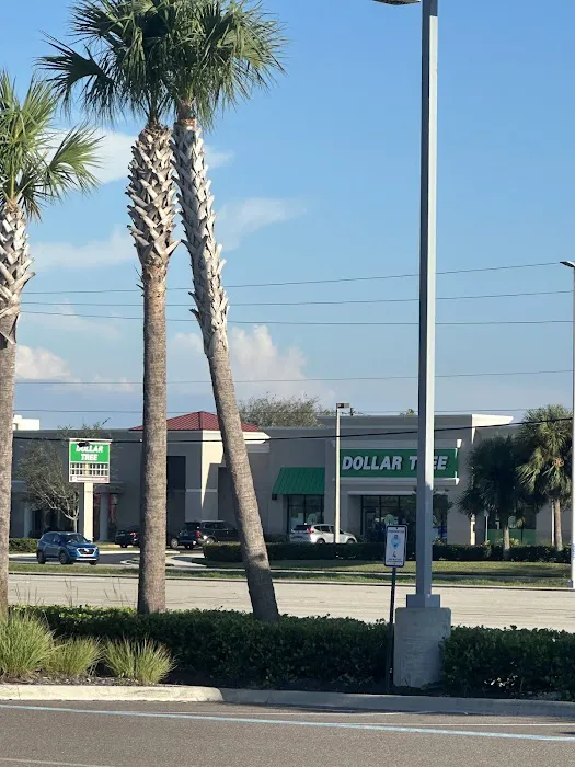 Dollar Tree 9