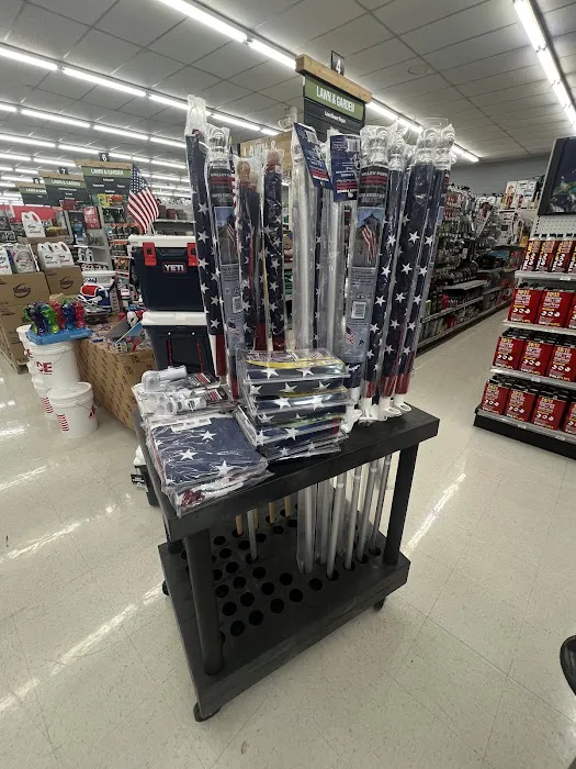 Vision Ace Hardware 2