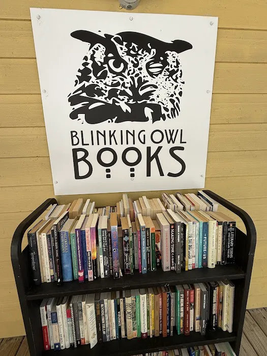 Blinking Owl Books 5