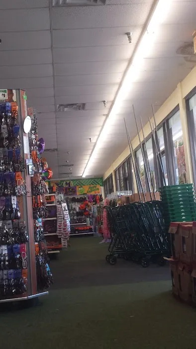 Dollar Tree 6
