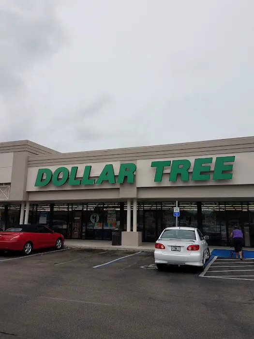 Dollar Tree 4