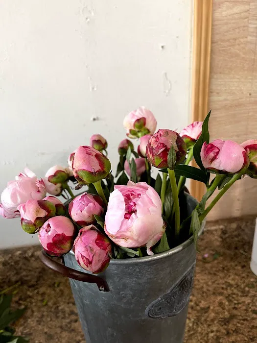 The Paradise Of Flowers 6