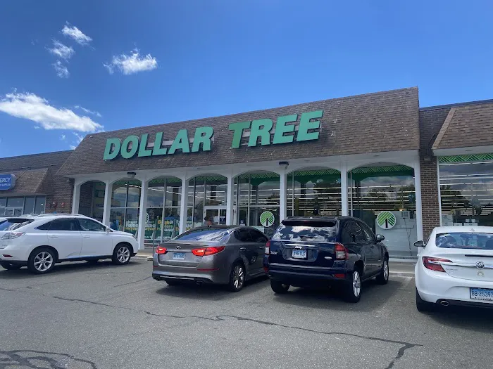 Dollar Tree 6