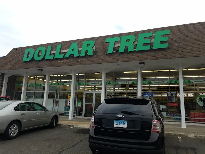 Dollar Tree 4