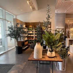 Crate & Barrel ico