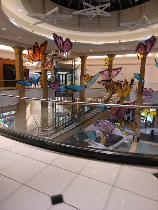 Neiman Marcus 8