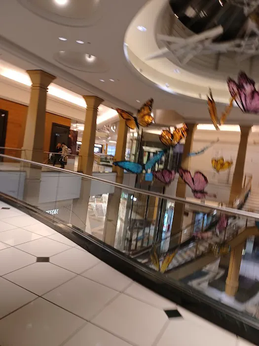 Neiman Marcus 7