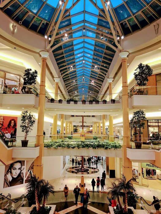 Macy's 7