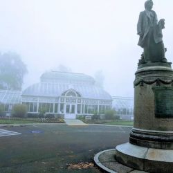 Palm House Gift Shop ico
