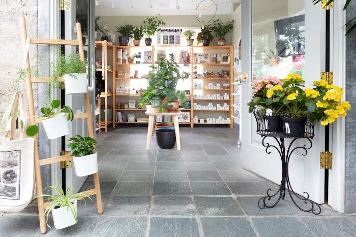 Palm House Gift Shop 2
