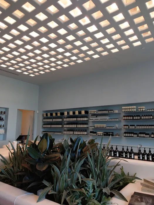 Aesop University Village 5