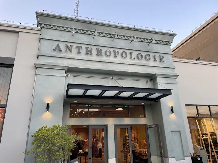 Anthropologie 2