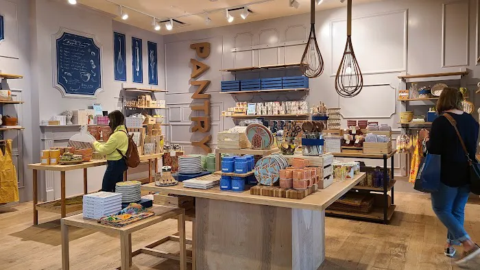 Anthropologie 1