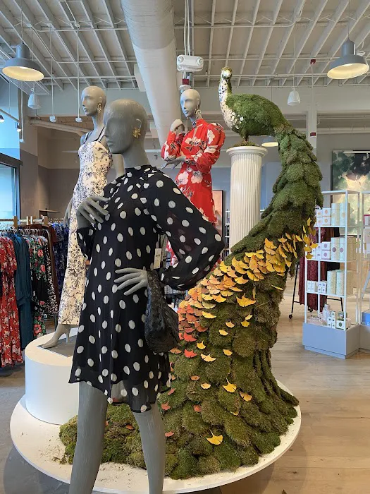 Anthropologie 0