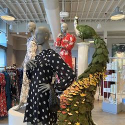 Anthropologie ico