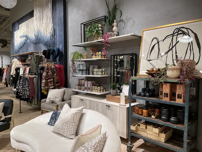 Anthropologie 4
