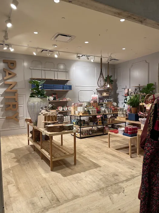 Anthropologie 6