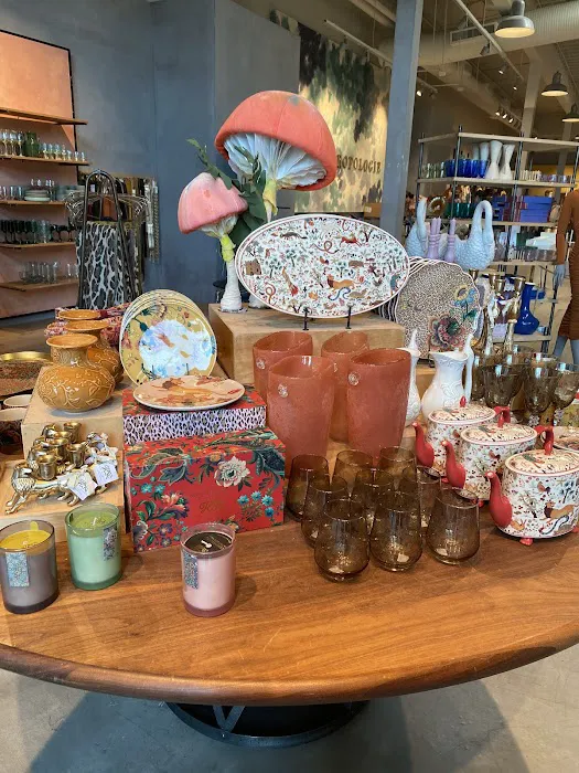 Anthropologie 3