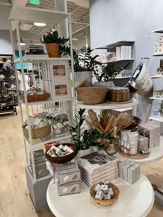 Anthropologie 5