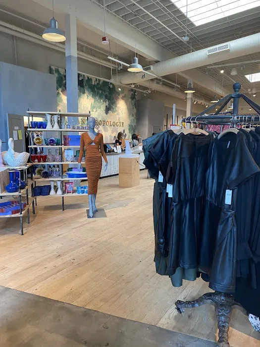 Anthropologie 8