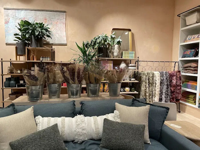 Anthropologie 7