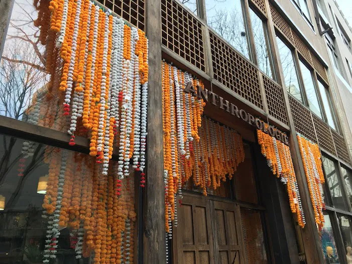 Anthropologie 0