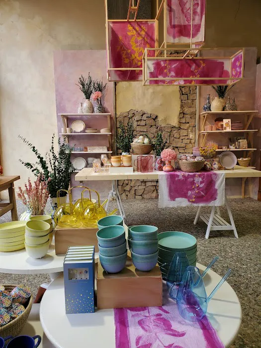Anthropologie 4