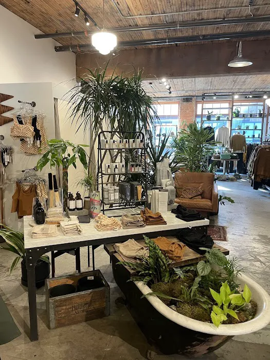 Glasswing Shop 4