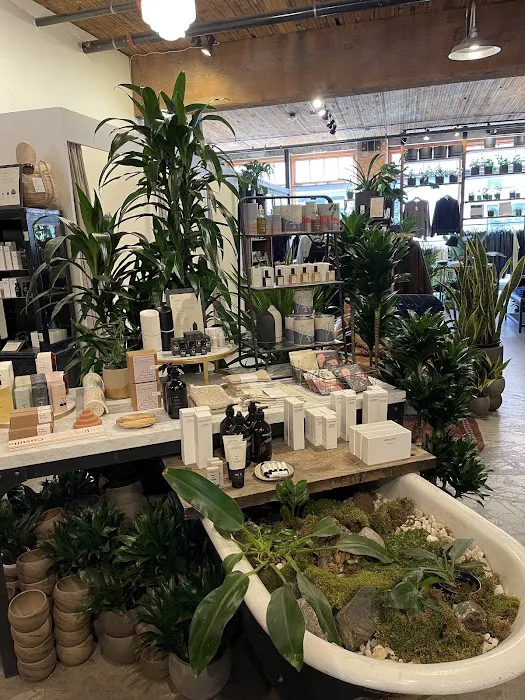 Glasswing Shop 6
