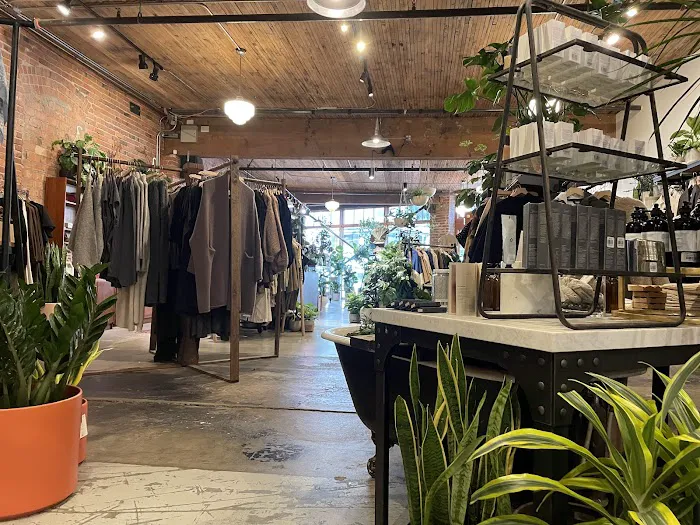 Glasswing Shop 7