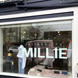 MILLIE ico