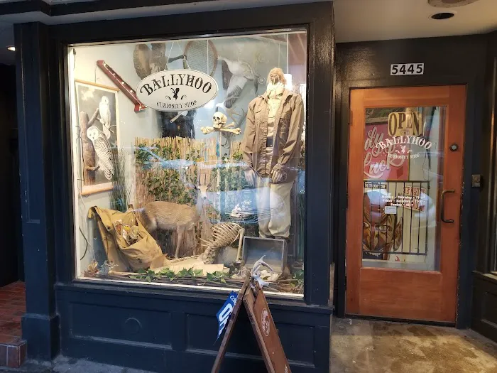 Ballyhoo Curiosity Shop 1