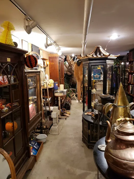 Ballyhoo Curiosity Shop 2