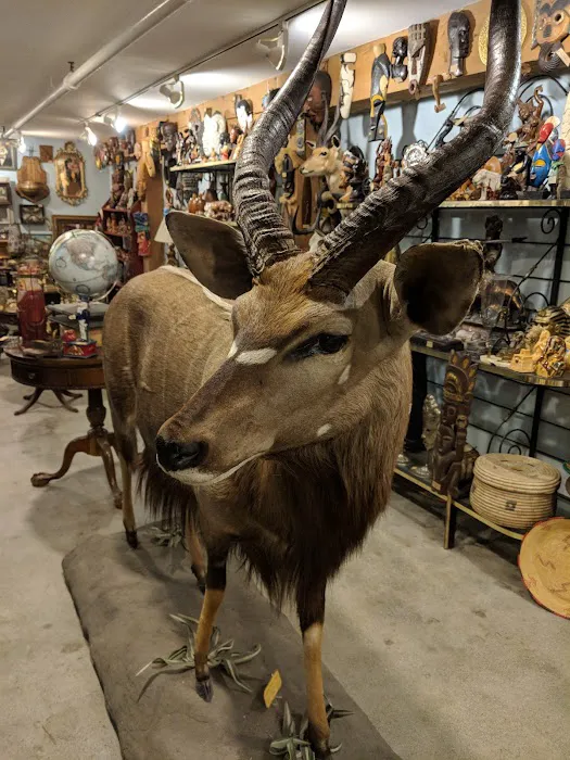 Ballyhoo Curiosity Shop 0