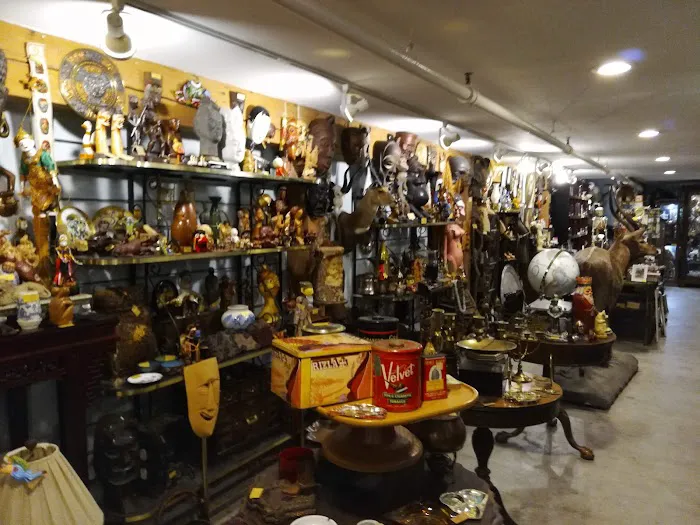 Ballyhoo Curiosity Shop 4
