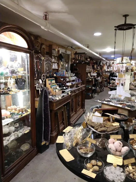 Ballyhoo Curiosity Shop 7
