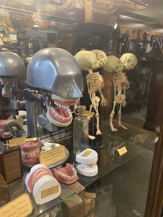 Ballyhoo Curiosity Shop 8