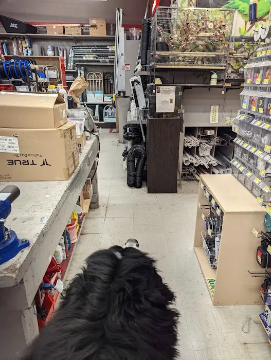 Magnolia Ace Hardware 3